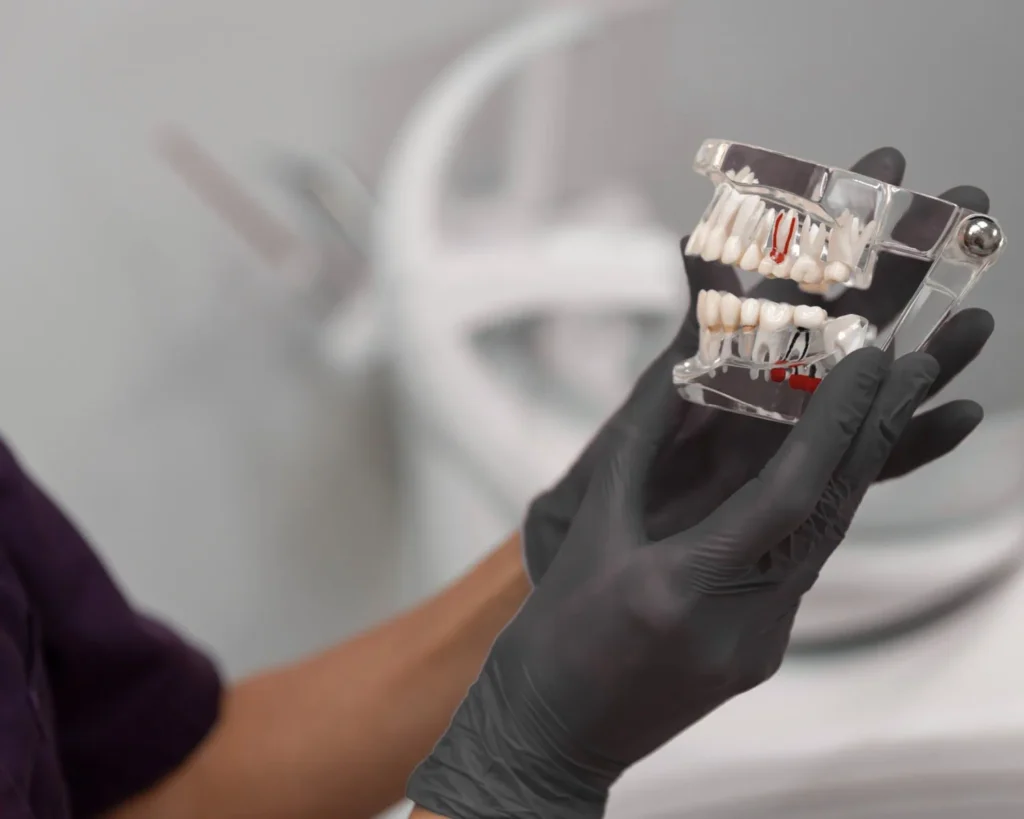 Osoba w czarnych rękawiczkach trzyma przezroczysty model dentystyczny z widocznym aparatem ortodontycznym, podkreślając ortodoncję dorosłych. Tło, prawdopodobnie klinika dentystyczna, sugeruje profesjonalne otoczenie dla metamorfozy uśmiechu w unident union. cbct implantologii